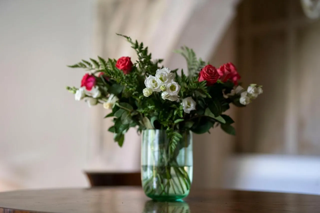 Mocenigo Grand Canal Luxury Suites Venice Apartment